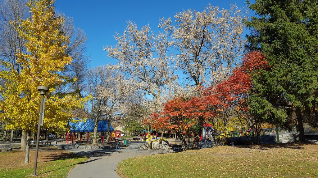 Fall colours along a path in Brewer Park
