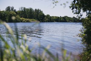 The Rideau River lined with trees