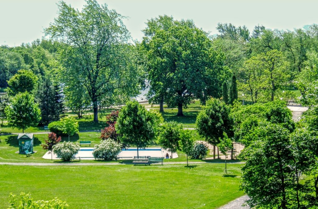 Green lawns and trees in Strathcona Park, Sandy Hill