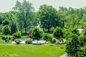 Green lawns and trees in Strathcona Park, Sandy Hill