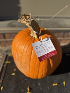 A pumpkin on a front step with a Have a gourd-geous fall tag